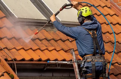 Démoussage et hydrofuge de toiture à Bazegney